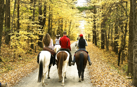 Riders on horseback on a golden autumn trail at Painted Bar Stables in the Finger Lakes